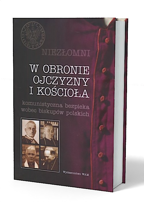 Niezłomni. W obronie Ojczyzny i - okładka książki