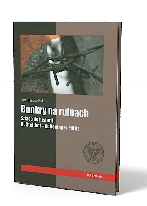 Bunkry na ruinach. Szkice do historii - okładka książki