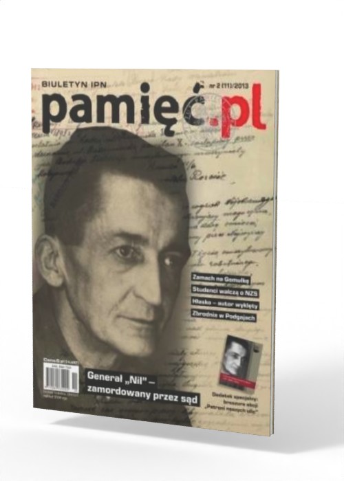 Pamięć.pl. Biuletyn IPN 2(11)/2013 - okładka książki