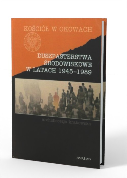Duszpasterstwa środowiskowe w latach - okładka książki
