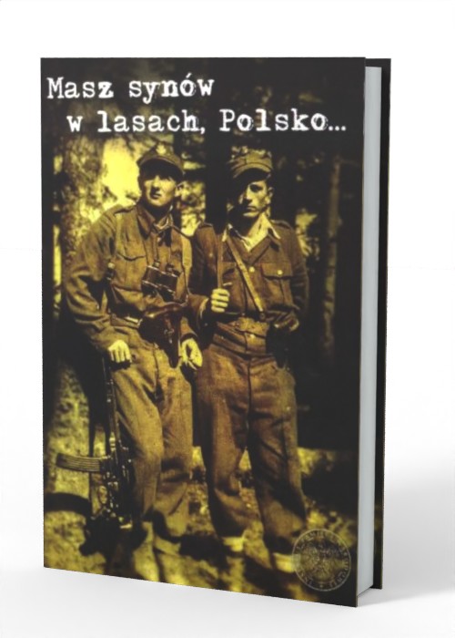 Masz synów w lasach, Polsko... - okładka książki