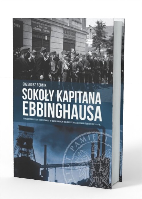 Sokoły kapitana Ebbinghausa. Sonderformation - okładka książki