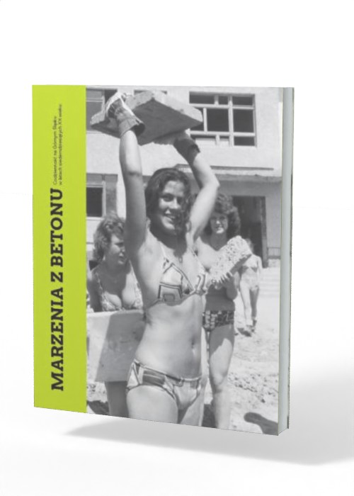 Marzenia z betonu. Codzienność - okładka książki