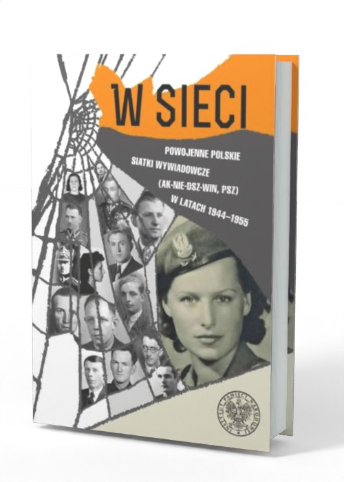 W sieci. Powojenne polskie siatki - okładka książki