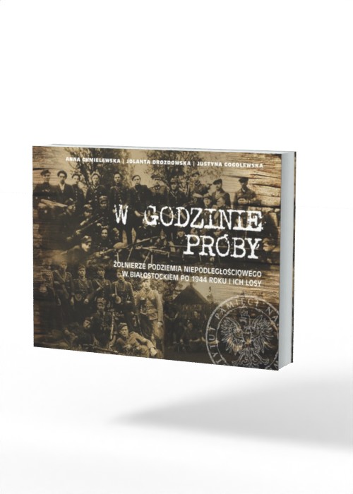 W godzinie próby. Żołnierze podziemia - okładka książki