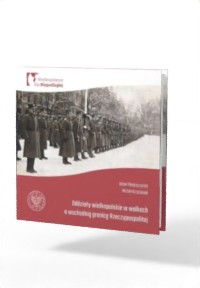 Oddziały Wielkopolskie w walkach - okładka książki