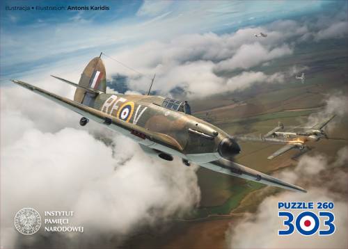 puzzle 303 (260 elem.) - zdjęcie zabawki, gry