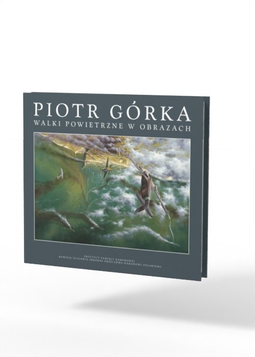 Walki powietrzne w obrazach - okładka książki