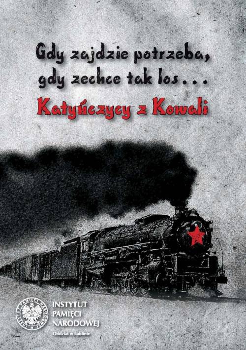 Gdy zajdzie potrzeba, gdy zechce - okłakda ebooka