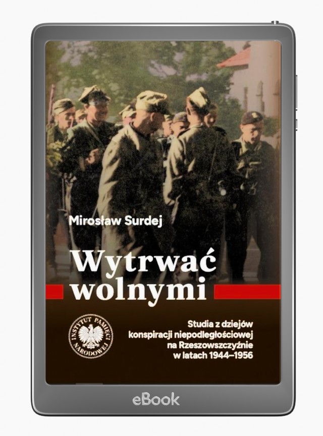 Wytrwać wolnymi.Studia z dziejów - okłakda ebooka