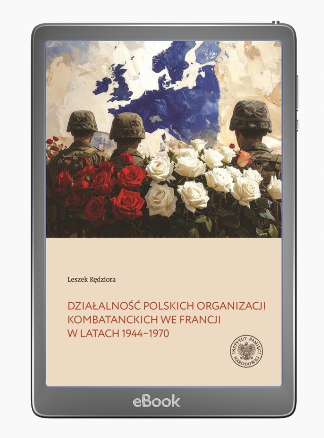 Działalność polskich organizacji - okłakda ebooka