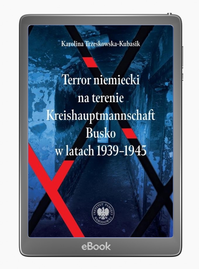 Terror niemiecki na terenie Kreishauptmannschaftu - okłakda ebooka